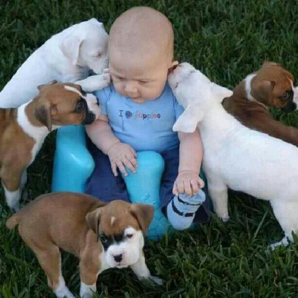 babypuppy5