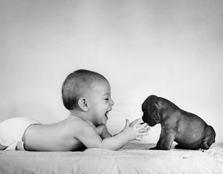 babypuppy12