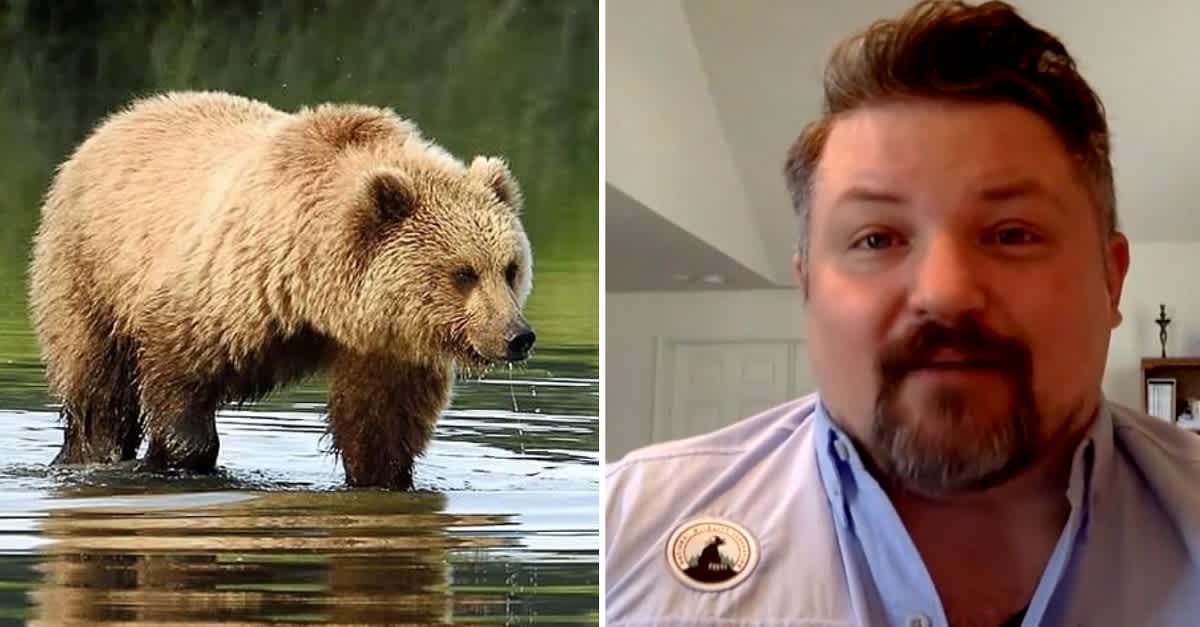 Wildlife Animals Are Taking Over The Streets Worldwide | LittleThings.com