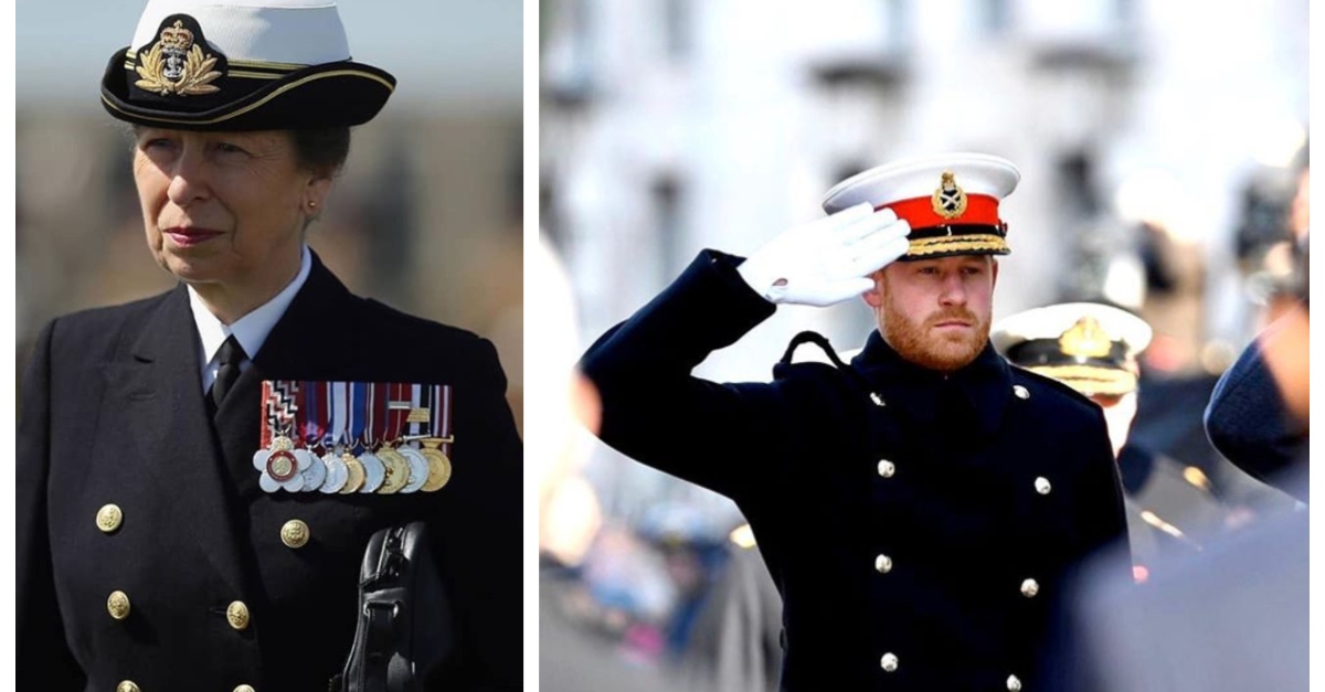 Princess Anne Is Taking Over Prince Harry S Military Role This Year Littlethings Com
