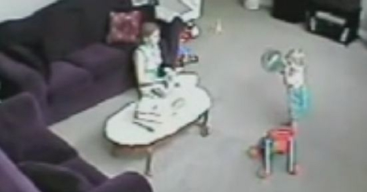 Unbelievable!! Cat Saves Toddler From Babysitter! WOW!