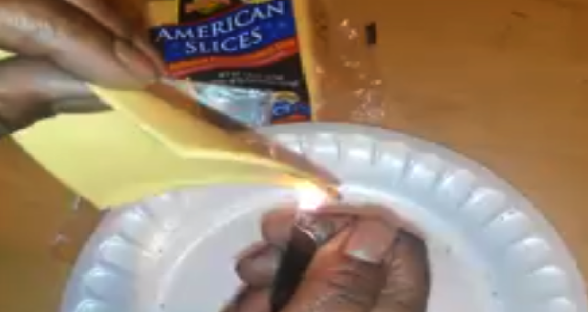 She Lights A Piece Of Cheese On Fire. The Results Are SHOCKING. Must