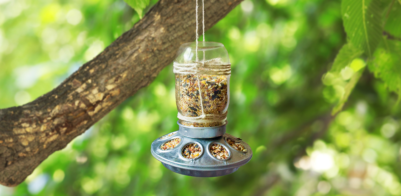 Mason jar hotsell pet feeder