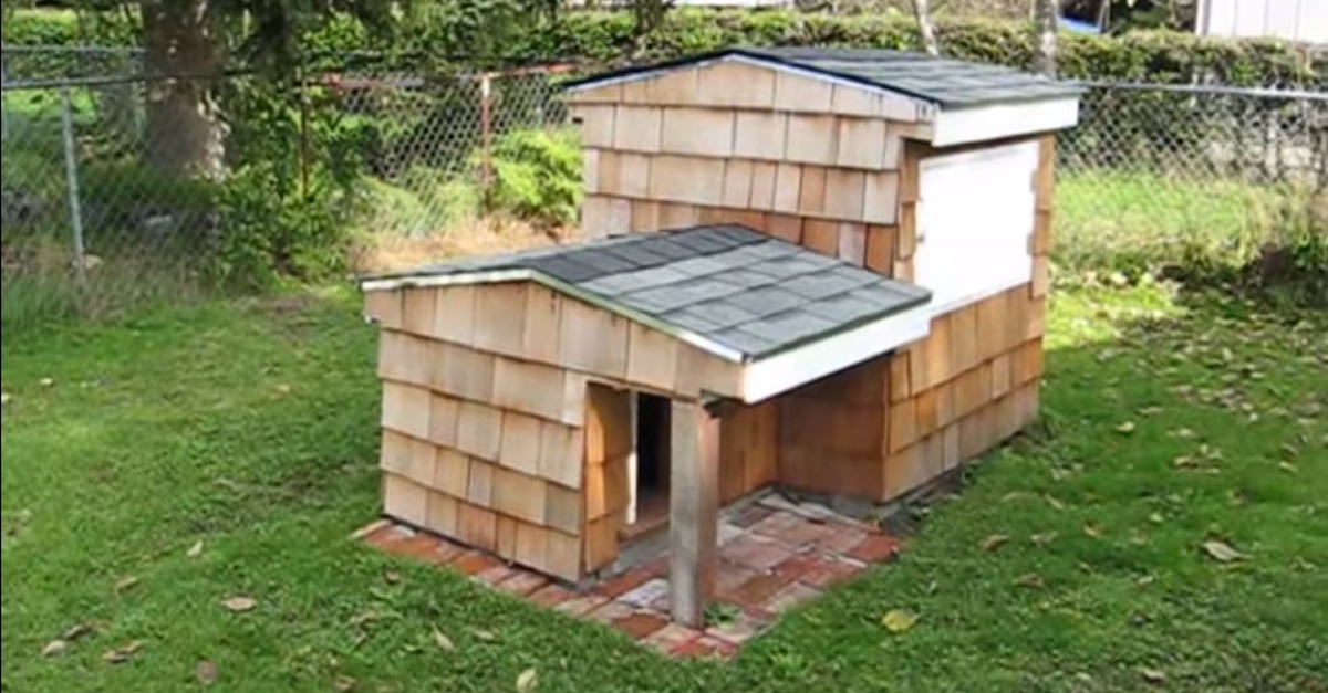 Underground store dog houses