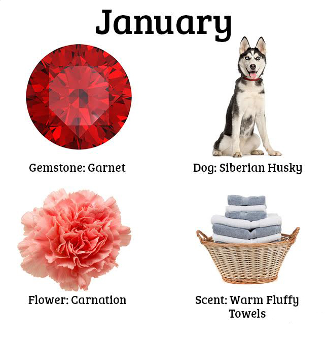 Each Birth Month Has A Special Dog, Scent, Gem, And Flower. What's