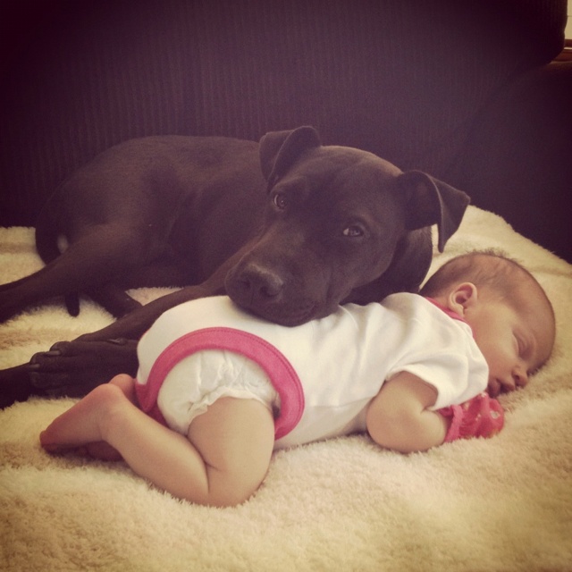babypuppy14