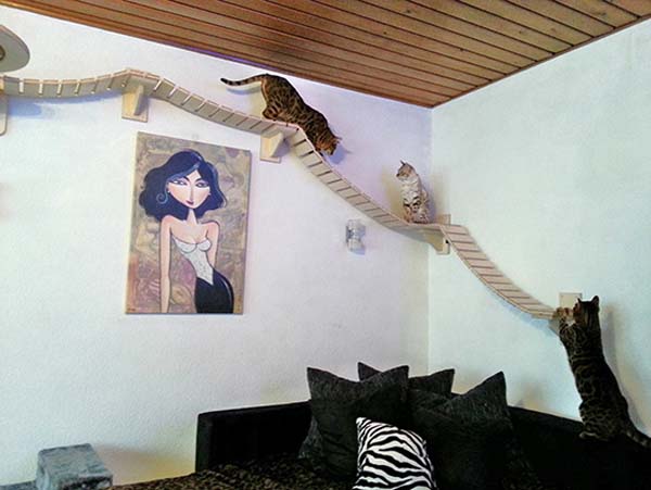 cat-furniture5