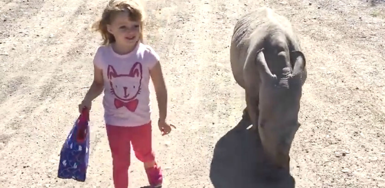 Little Girl Walks Down A Dirt Road. But Look Who’s Following RIGHT Behind Her...