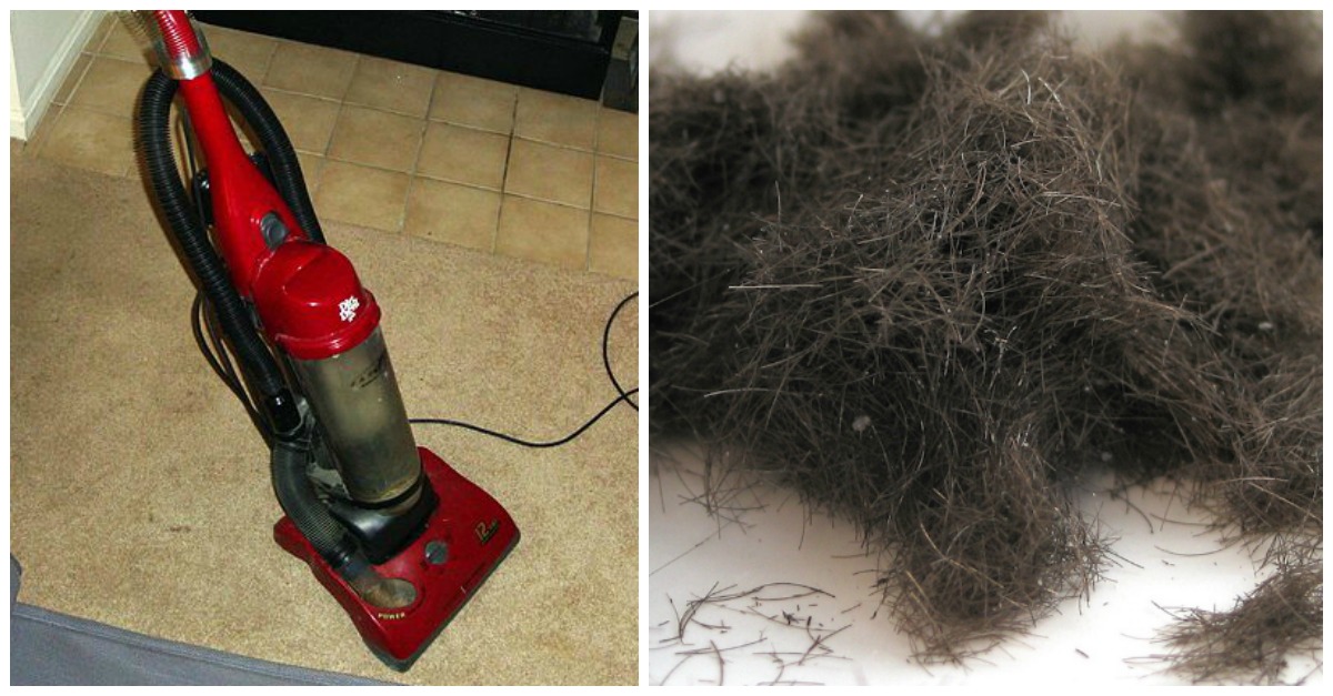 10 Messes You Should Absolutely Never Vacuum | LittleThings.com