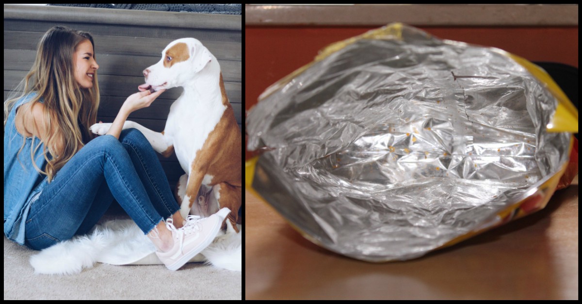 Can A Dog Suffocate In A Bag Of Chips