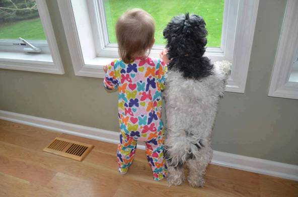 partner-in-crime