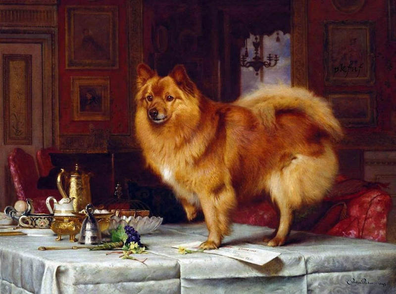 10 Famous Royal Dogs Throughout History | LittleThings.com