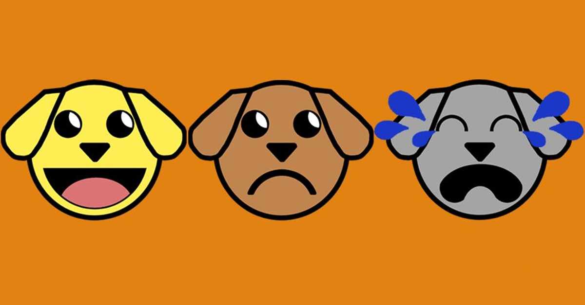 AMBULANCE WATCH ONLINE DIFFERENT COUNTRIES