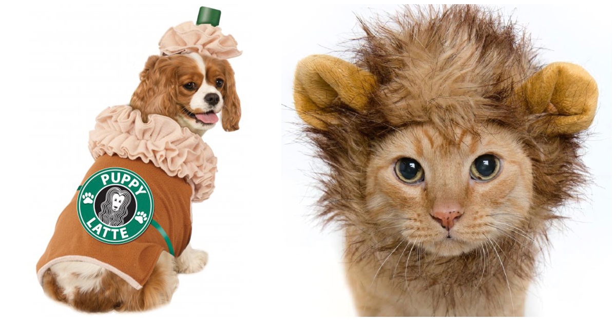 Walmart Is Selling The Absolute Best Pet Costumes For Halloween This