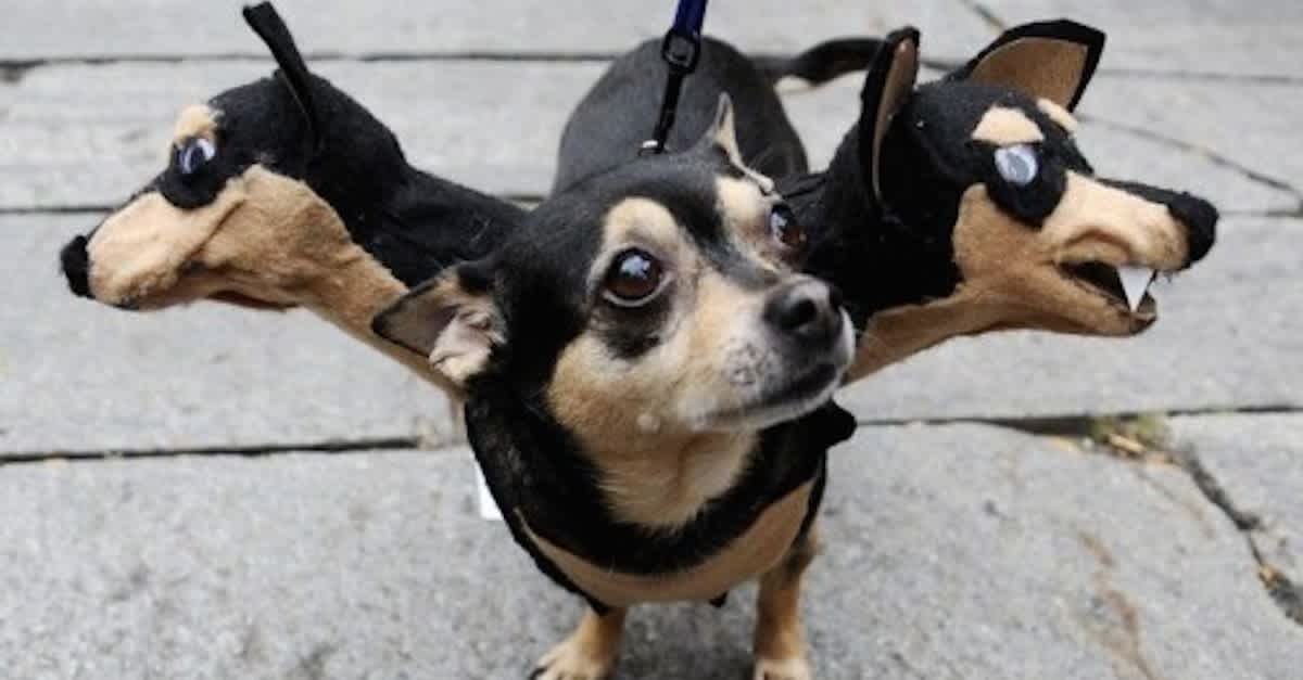 31 Of The Most Hilarious Halloween Costumes For Dogs! These Are