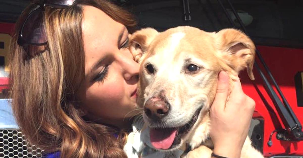 She Takes In An Orphaned Dog After His Owner Dies. But Then Finds THIS ...