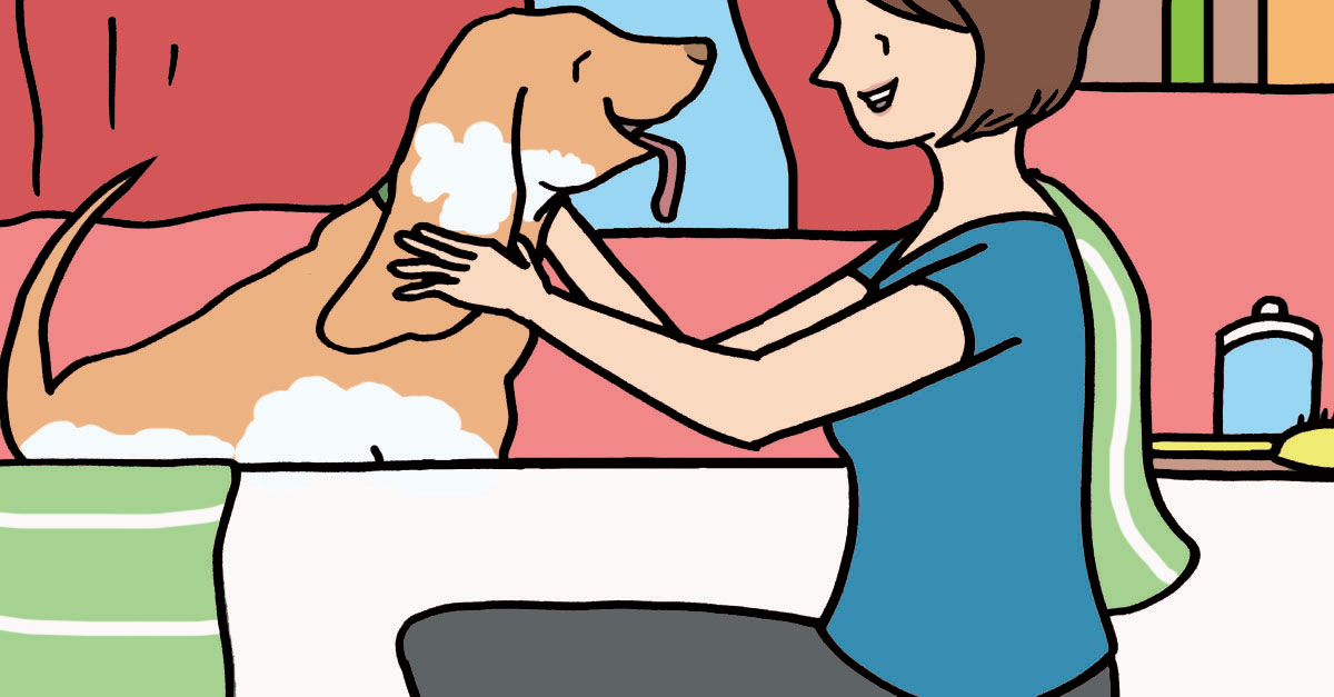 How Often Should You Bathe Your Dog? What To Know