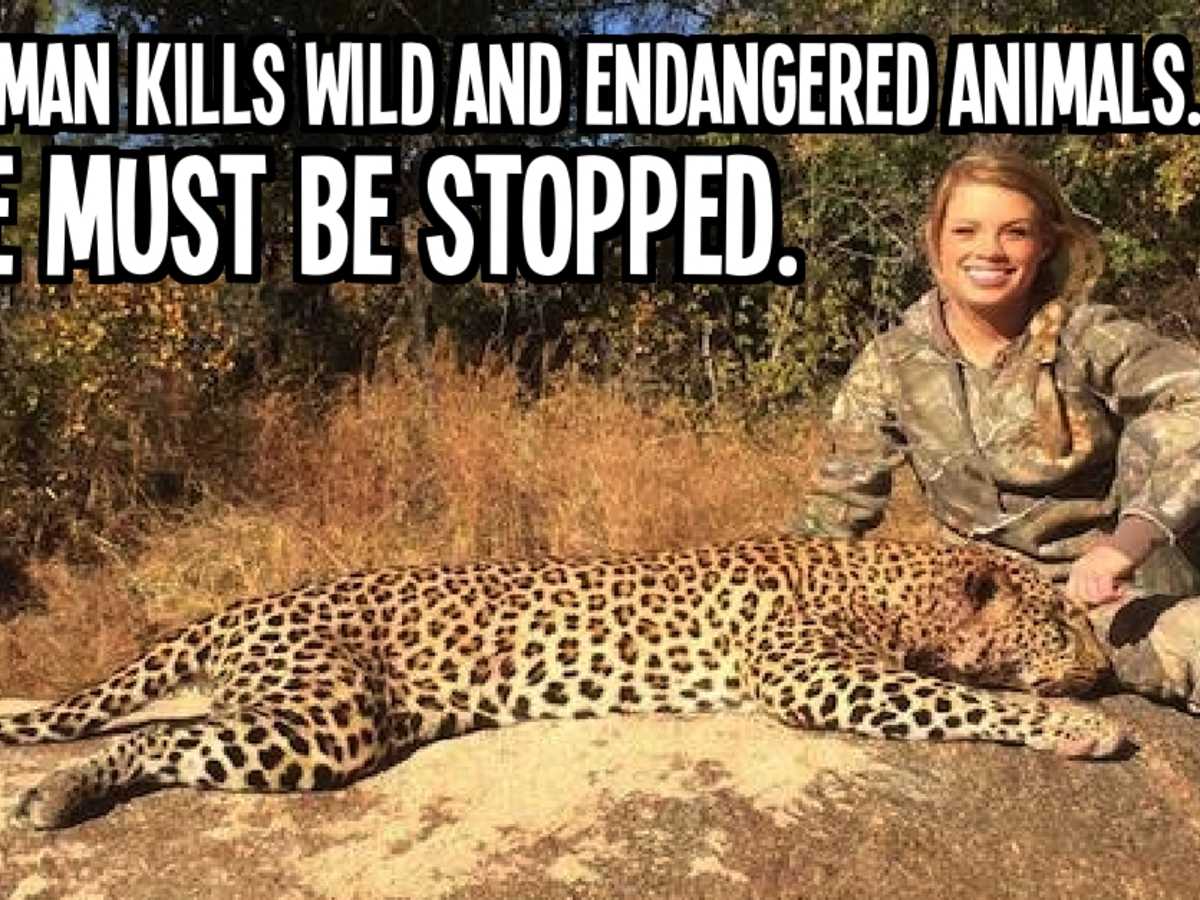 This Woman Kills Endangered Wild Animals And Must Be Stopped. Everyone  Should See This. 