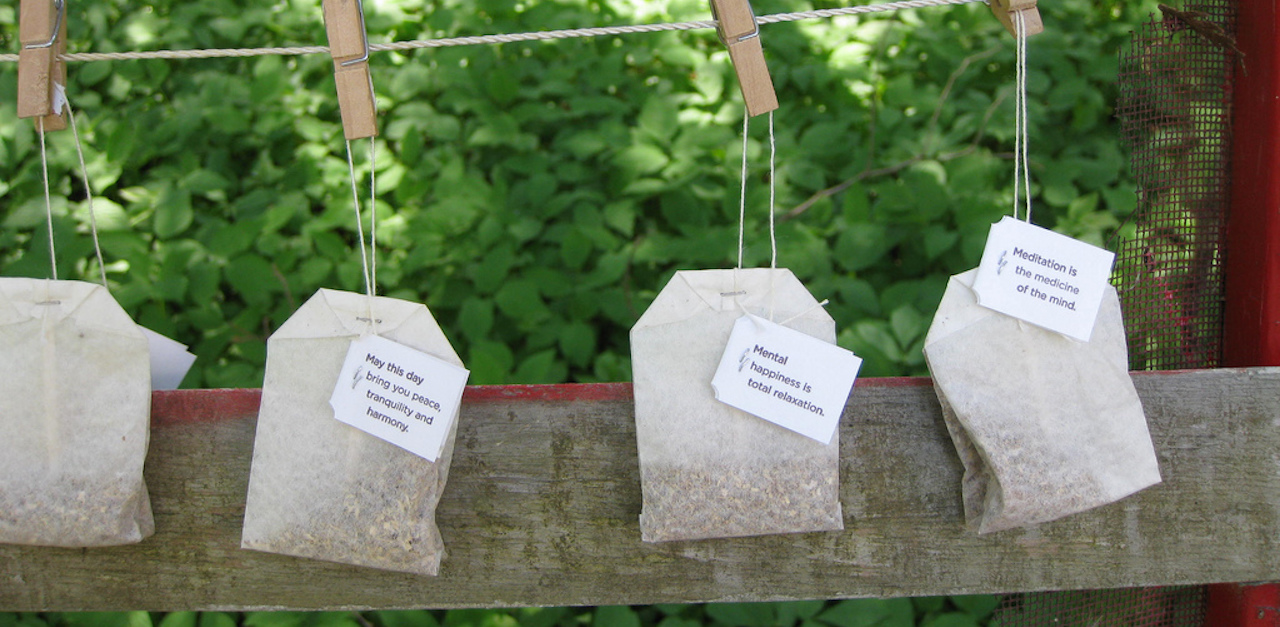 Used Tea Bags Are A Miracle Cure For Your Spring Garden
