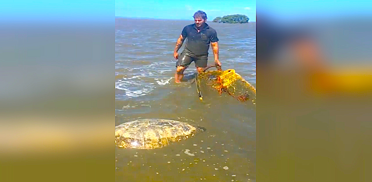 Turtle Man Accident , What happened to Ernie ‘Turtleman’ Brown Jr? – PBJZH