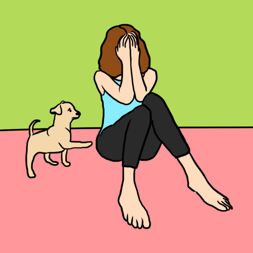 Why Dogs Follow You Into The Bathroom Unraveling Canine Curiosity And