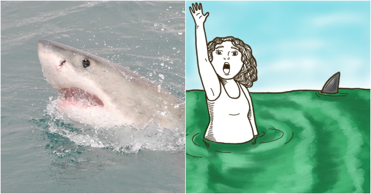 What You Should Do If You See A Shark In The Water
