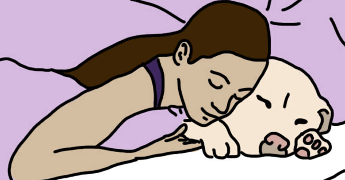 10 Pet Sleeping Positions Reveal About Your Relationship 