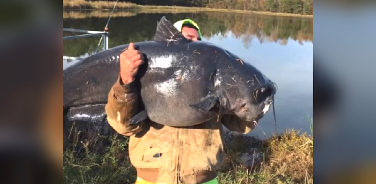 Fisherman Battles For 30 Minutes To Reel In Catch, Then Realizes ...