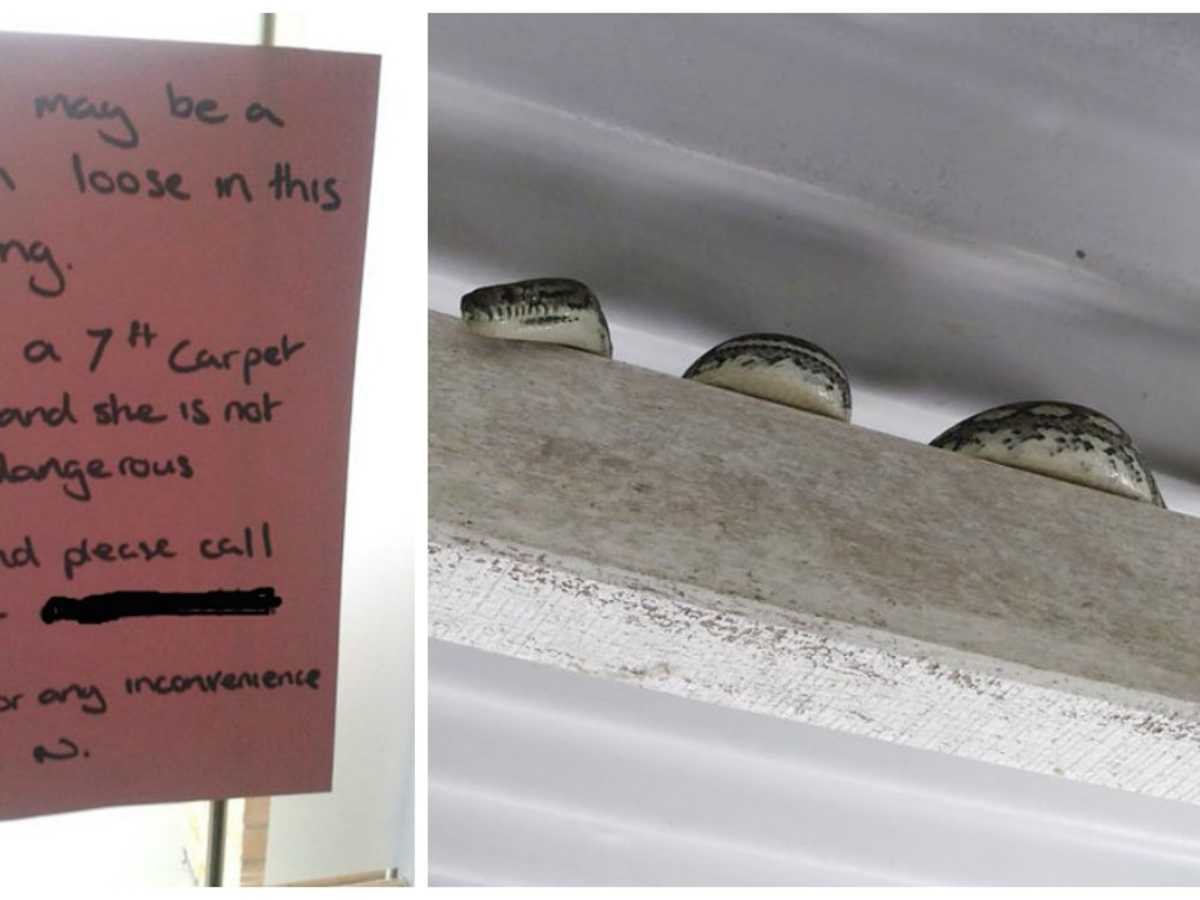10 Passive-Aggressive But Really Funny Notes To Neighbors 