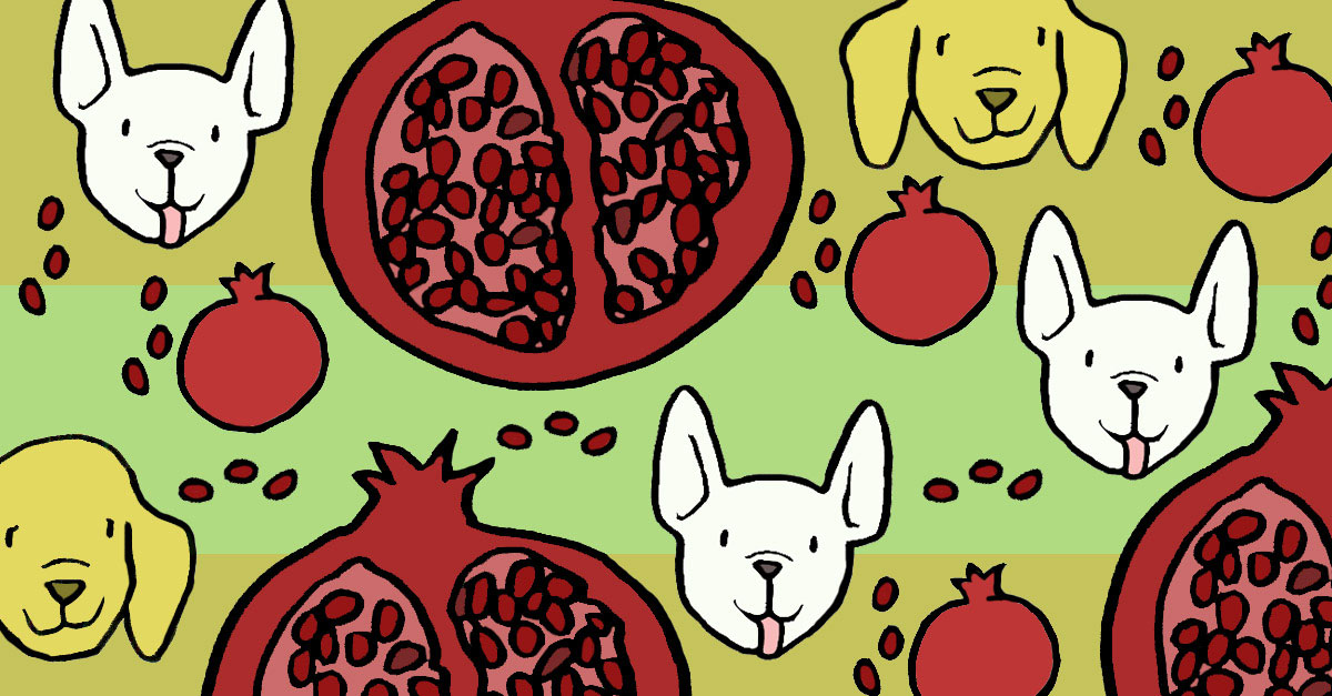 Is pomegranate best sale bad for dogs