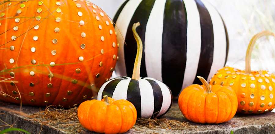 The Fascinating Reason Black And Orange Are The Colors Of Halloween The Fascinating Reason Black And Orange Are The Colors Of Halloween