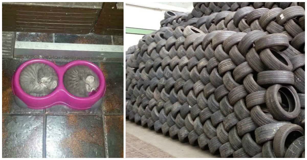 12 Oddly Satisfying Pictures To Massage Your Brain Littlethings Com 12 Oddly Satisfying Pictures To Massage Your Brain Littlethings Com