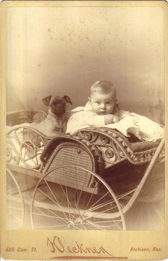babypuppy6