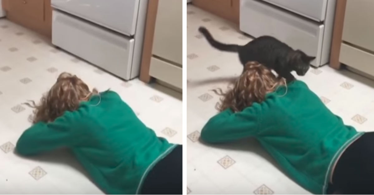 Cat Comforts Owner Every Time She Cries