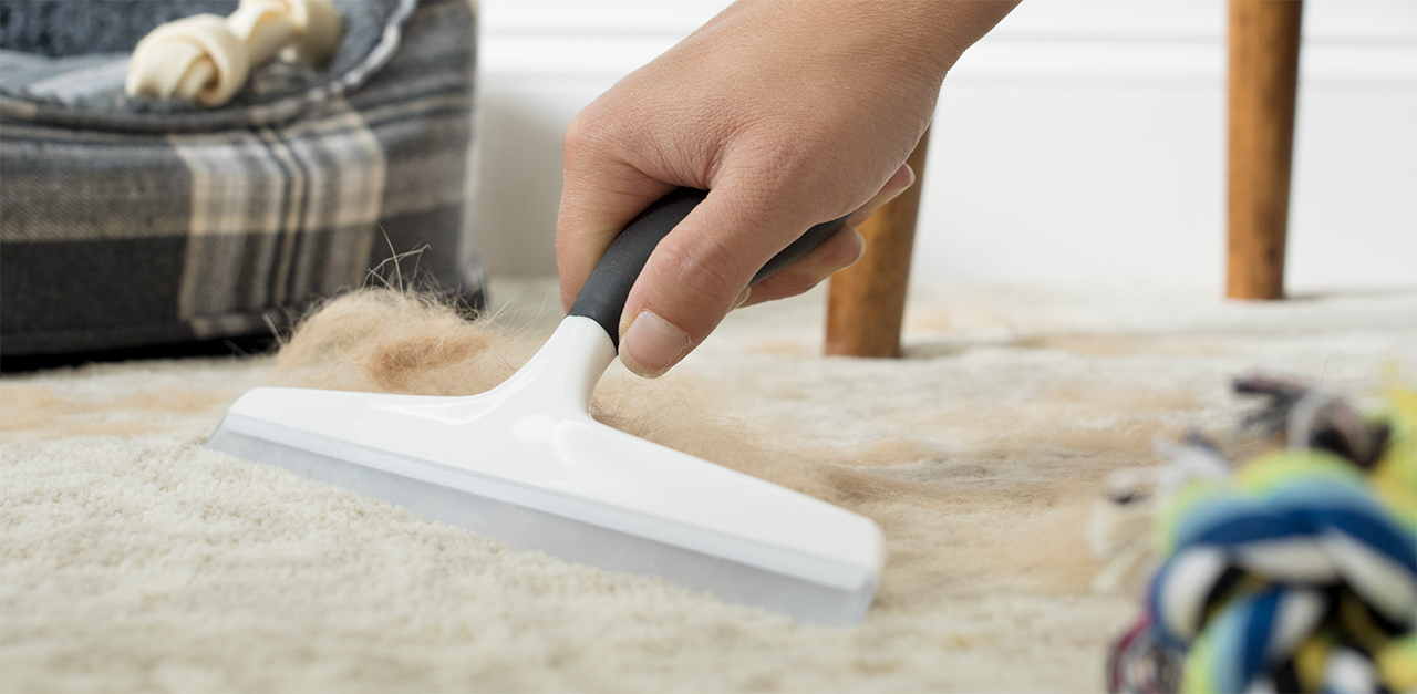 6 Of The Absolute Best Carpet Cleaning Hacks