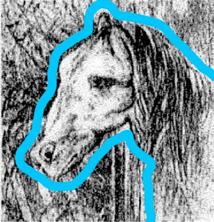 Лошадь обман зрения