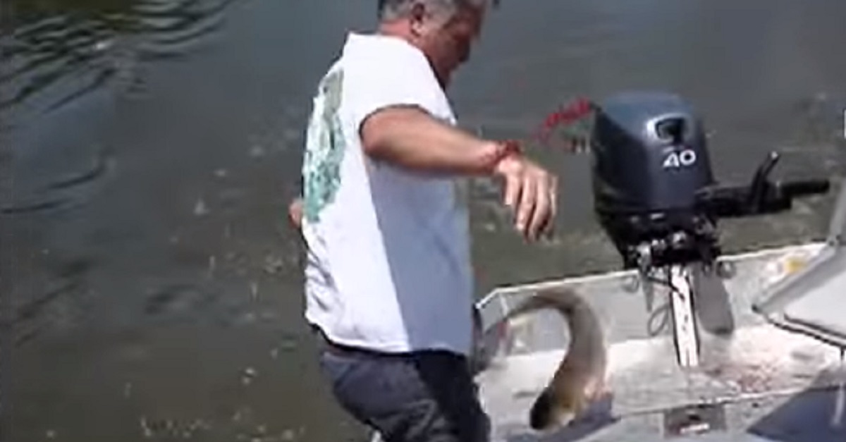 A Massive Fish Jumped Into The Boat, But What Happened Next Left Them