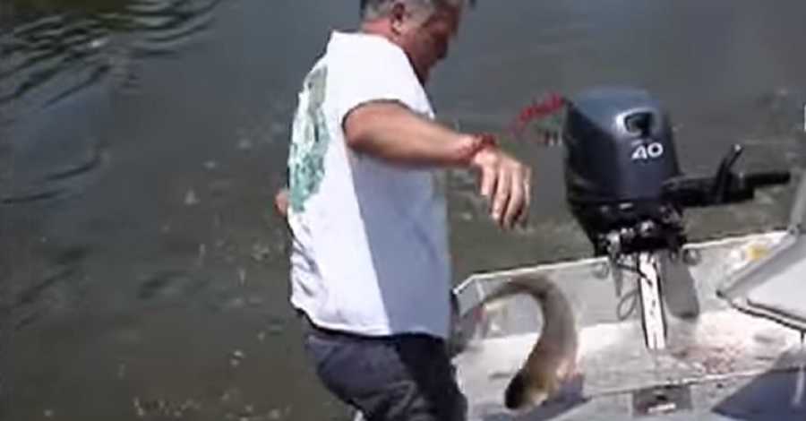 A Massive Fish Jumped Into The Boat, But What Happened Next Left Them In  TEARS Of Laughter!