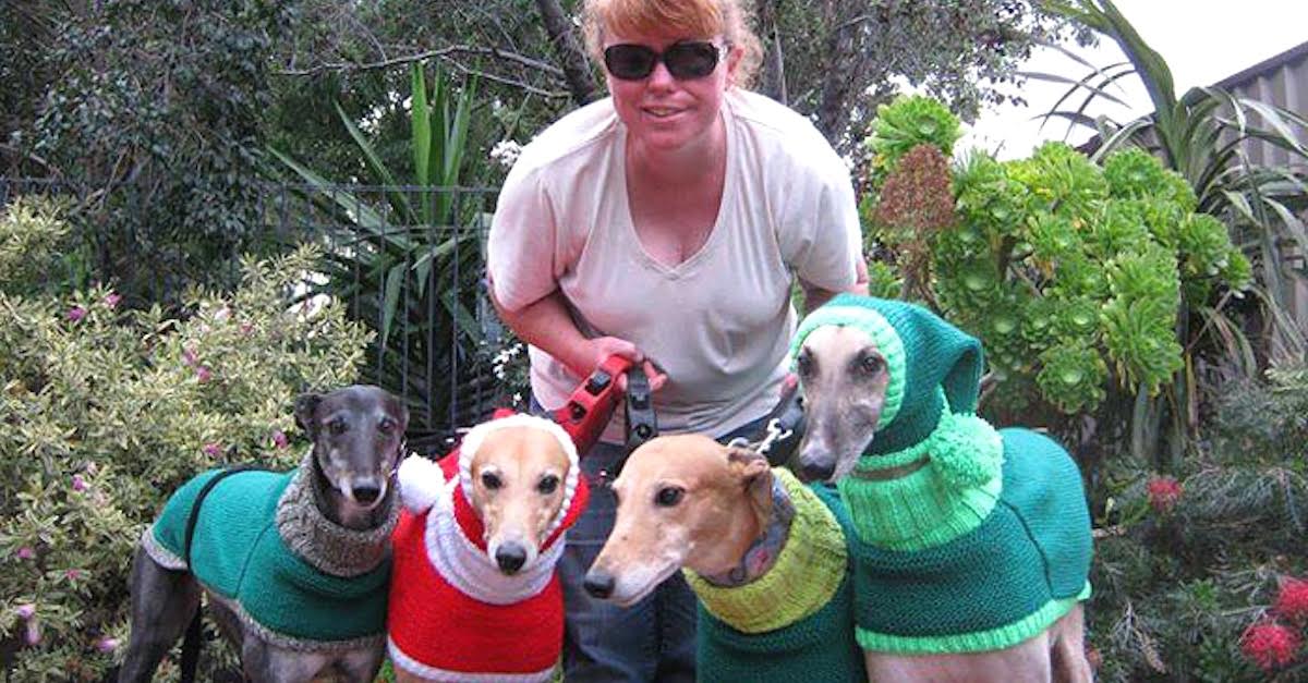 These Greyhounds Were Cold And 
