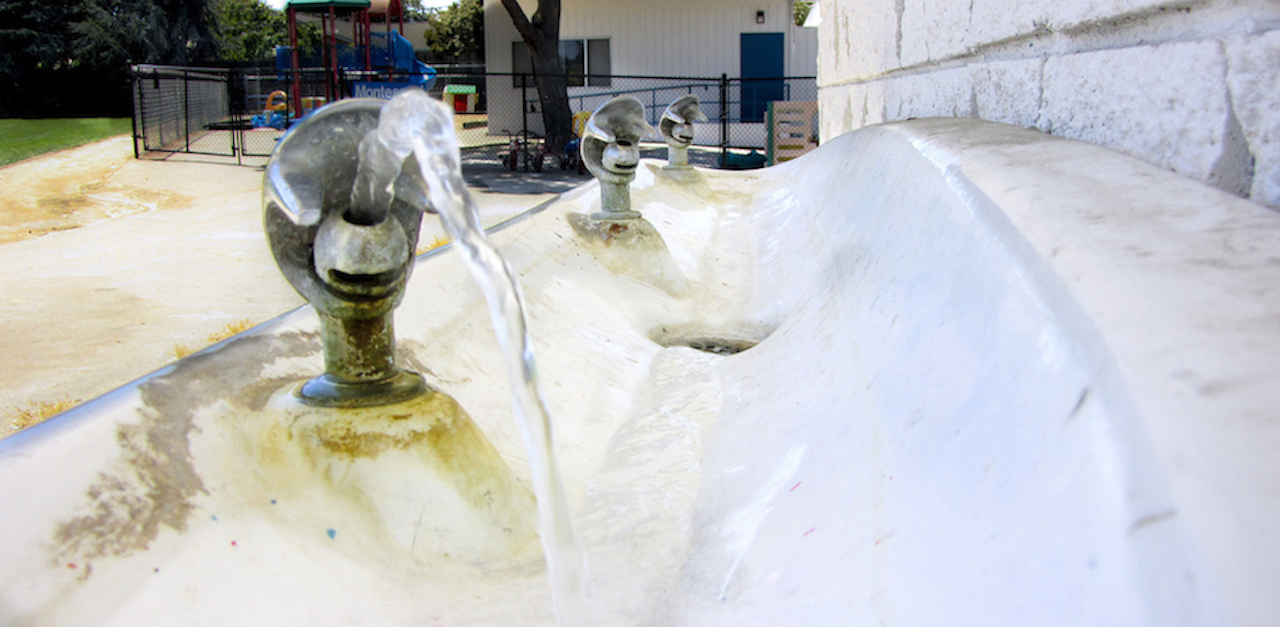Are Water Fountains Clean 10 Surprising Facts