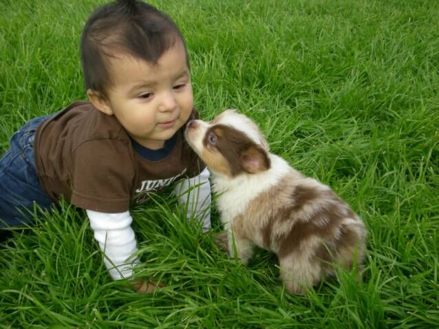 babypuppy11