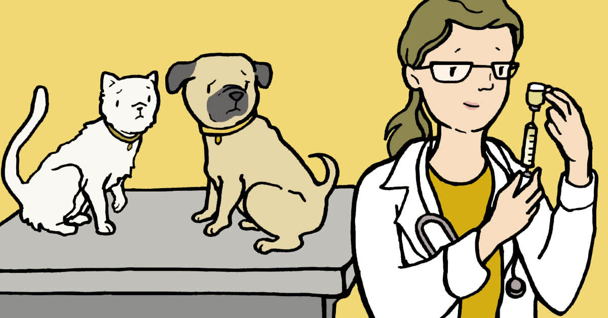 Pet Vaccinations: Too Many May Be Dangerous | LittleThings.com