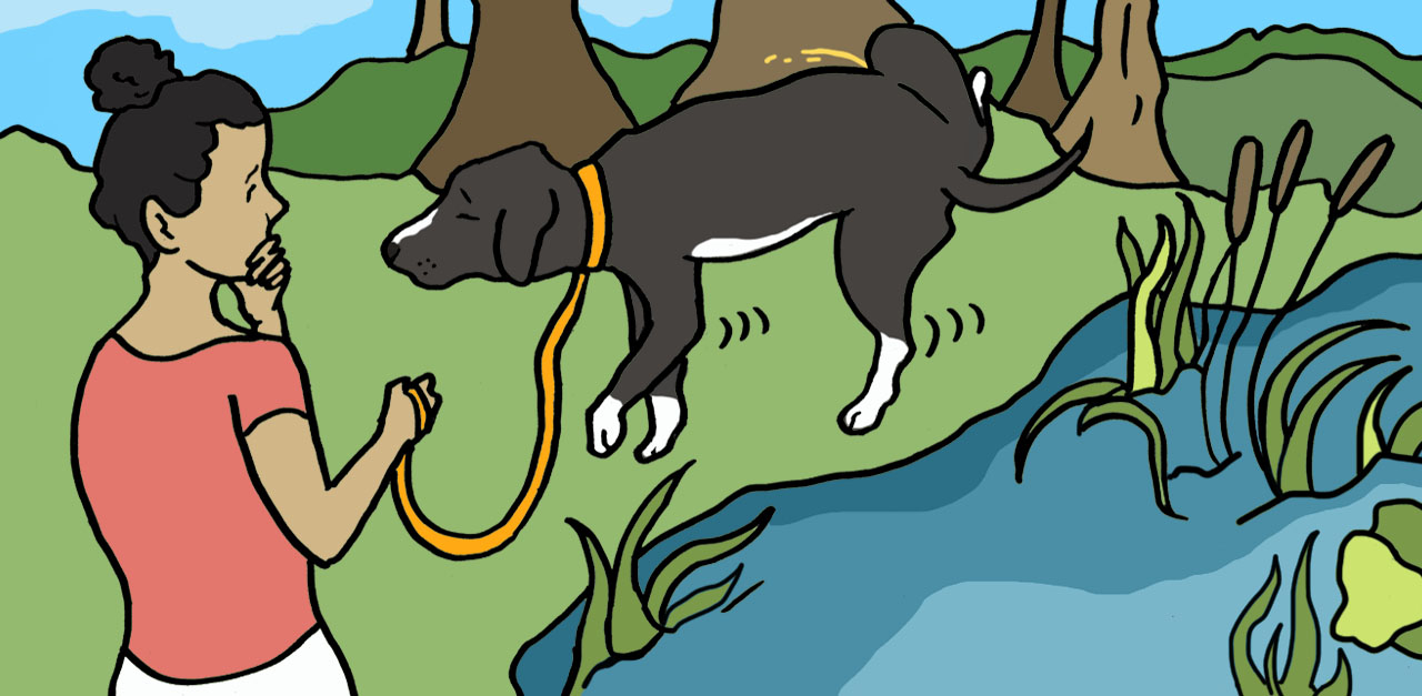 8 Alarming Signs Your Dog Has A Urinary Tract Infection