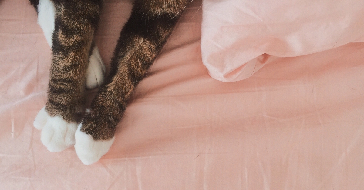 How To Strip Your Sheets At Home To Get Them Extra Clean