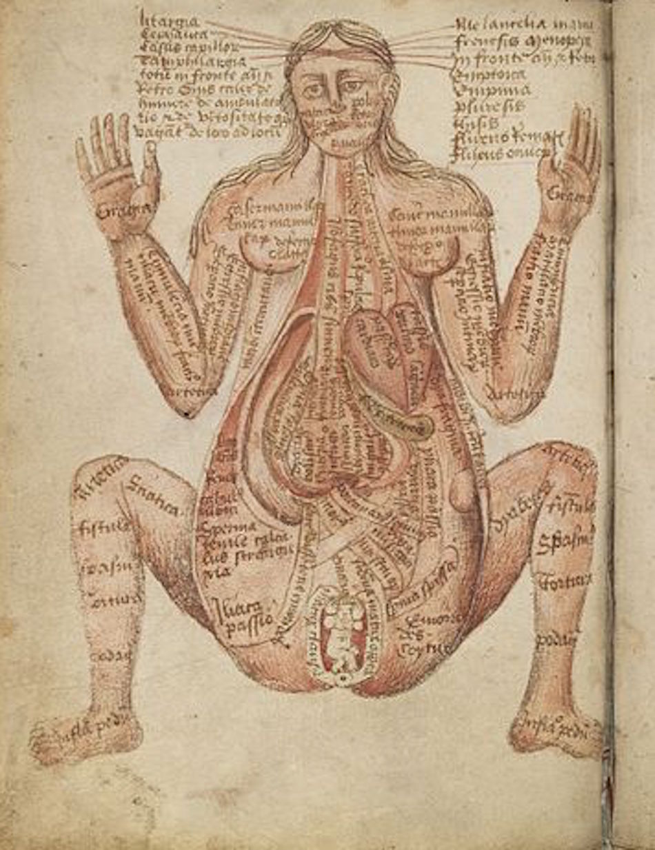 galen diagram of woman