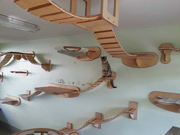 cat-furniture