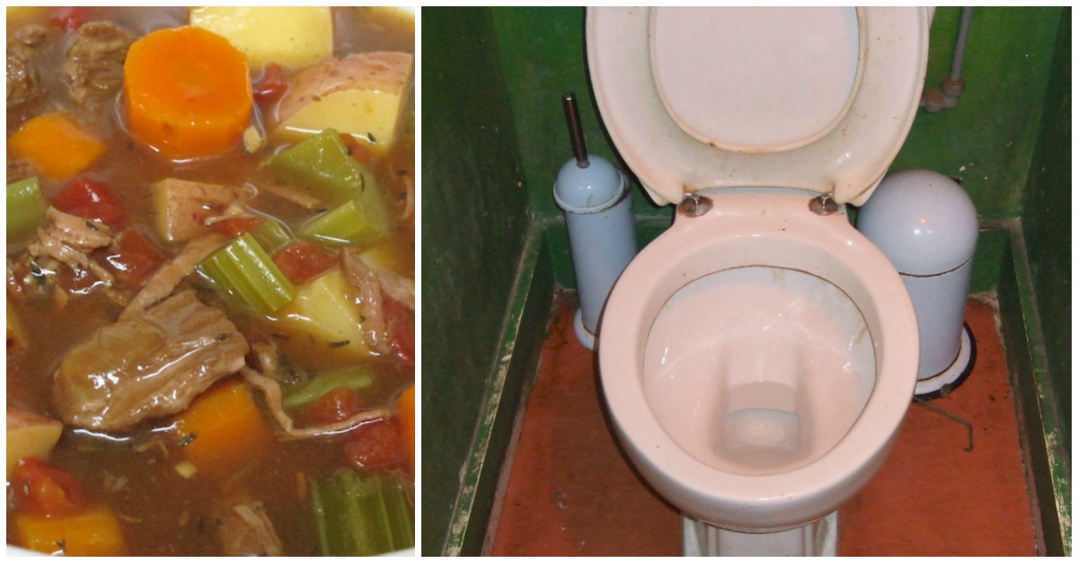 Flushing Things Down The Toilet 11 Strange But True Stories