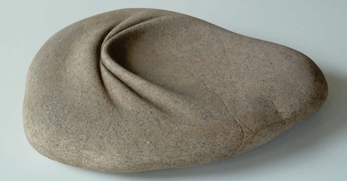 I Thought It Was A Normal Rock — Until I Saw THIS Squishy Side. What It ...