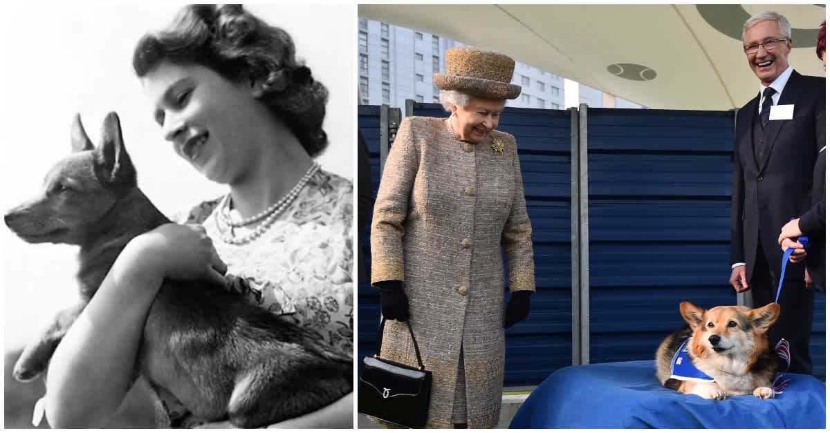 Queen Elizabeth's Last Remaining Corgi Has Died At Windsor Castle