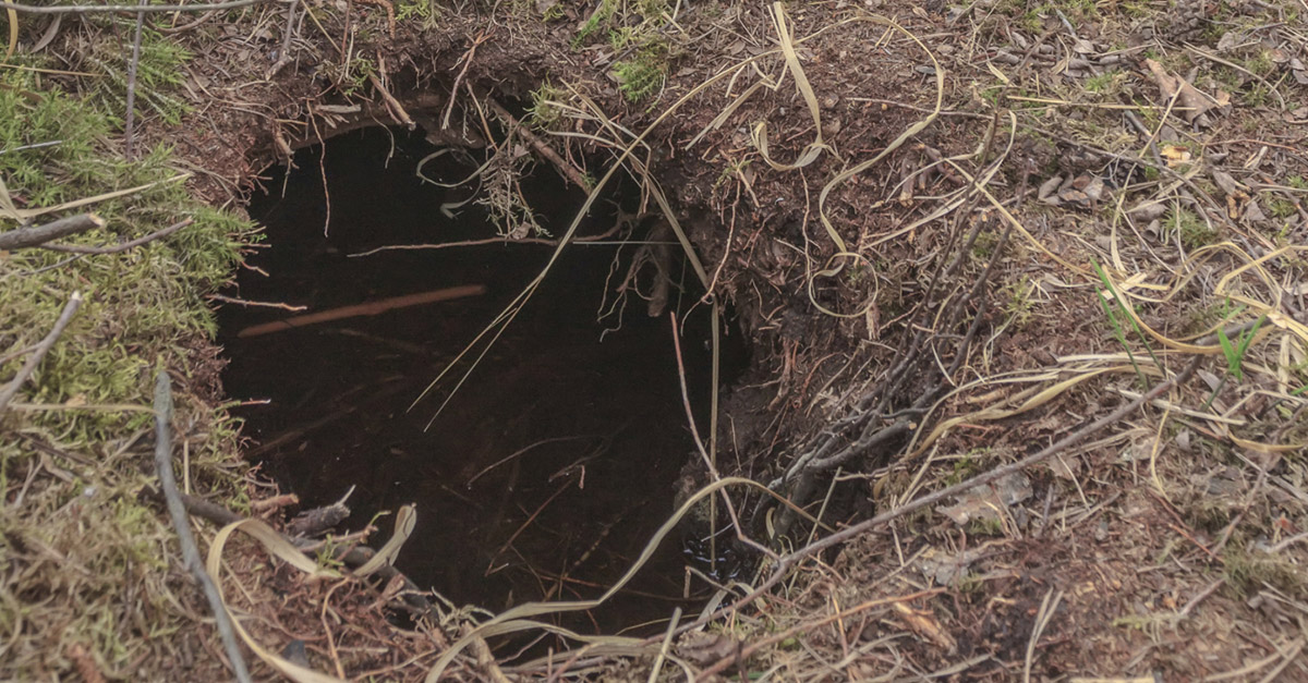 This Man Found a Hole In The Ground In the Forest. Inside? Thank God He